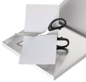 Plaque CCM GEL DE SILICE SUR ALUMINIUM F254 20x20cm