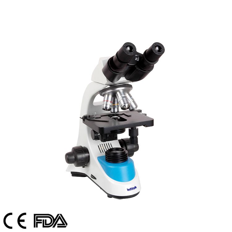 Microscope biologique, MSC-B208 (Siedentopf)