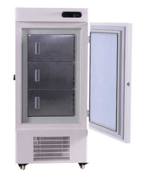 Congélateur vertical