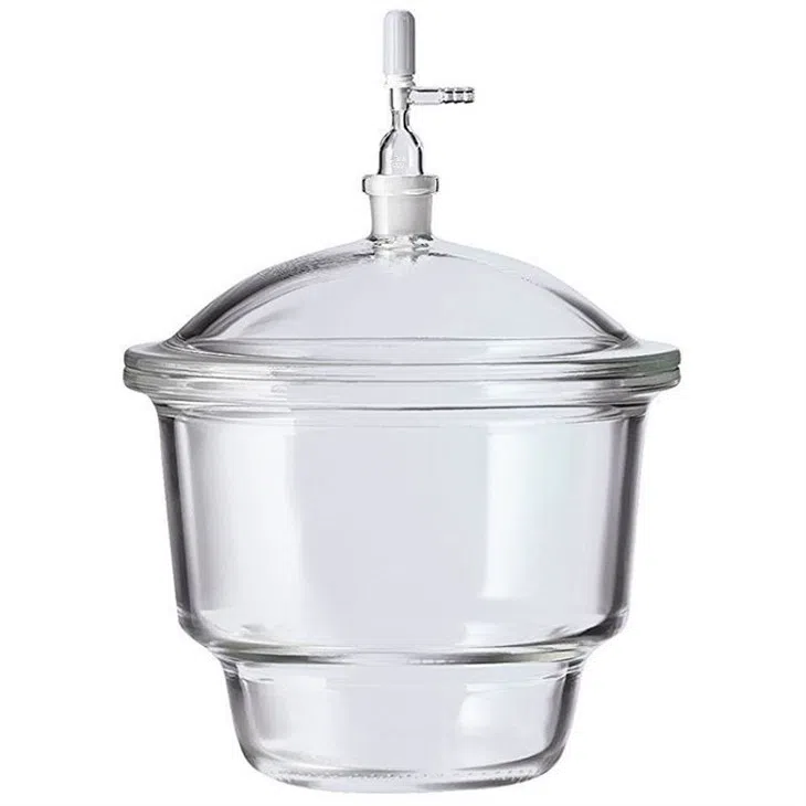 Dessiccateur sous vide avec robinet d’arrêt et plaque en porcelaine, verre transparent/ambre